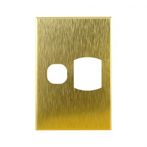 Switchplate Brushed Brass 2 Interchangeable/DespardRenovator's Supply 