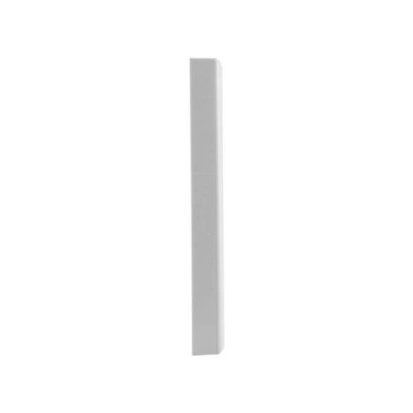 Blank Plate - Image 4