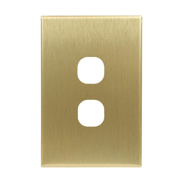 Brushed Brass Cover Plate 2 Gang Light Switch