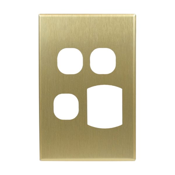 Brass Cover Plate Single GPO Vertical + 2 Extra Switch