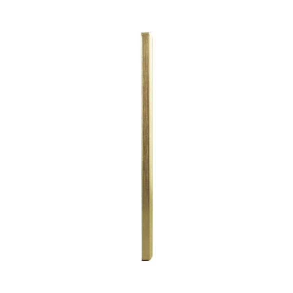 Metal Cover Plate Single Power Point with 2 Extra Switch - VERTICAL - Image 4
