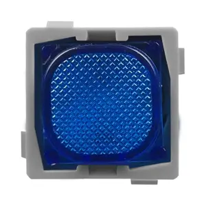 blue neon indicator mechanism 12v dc