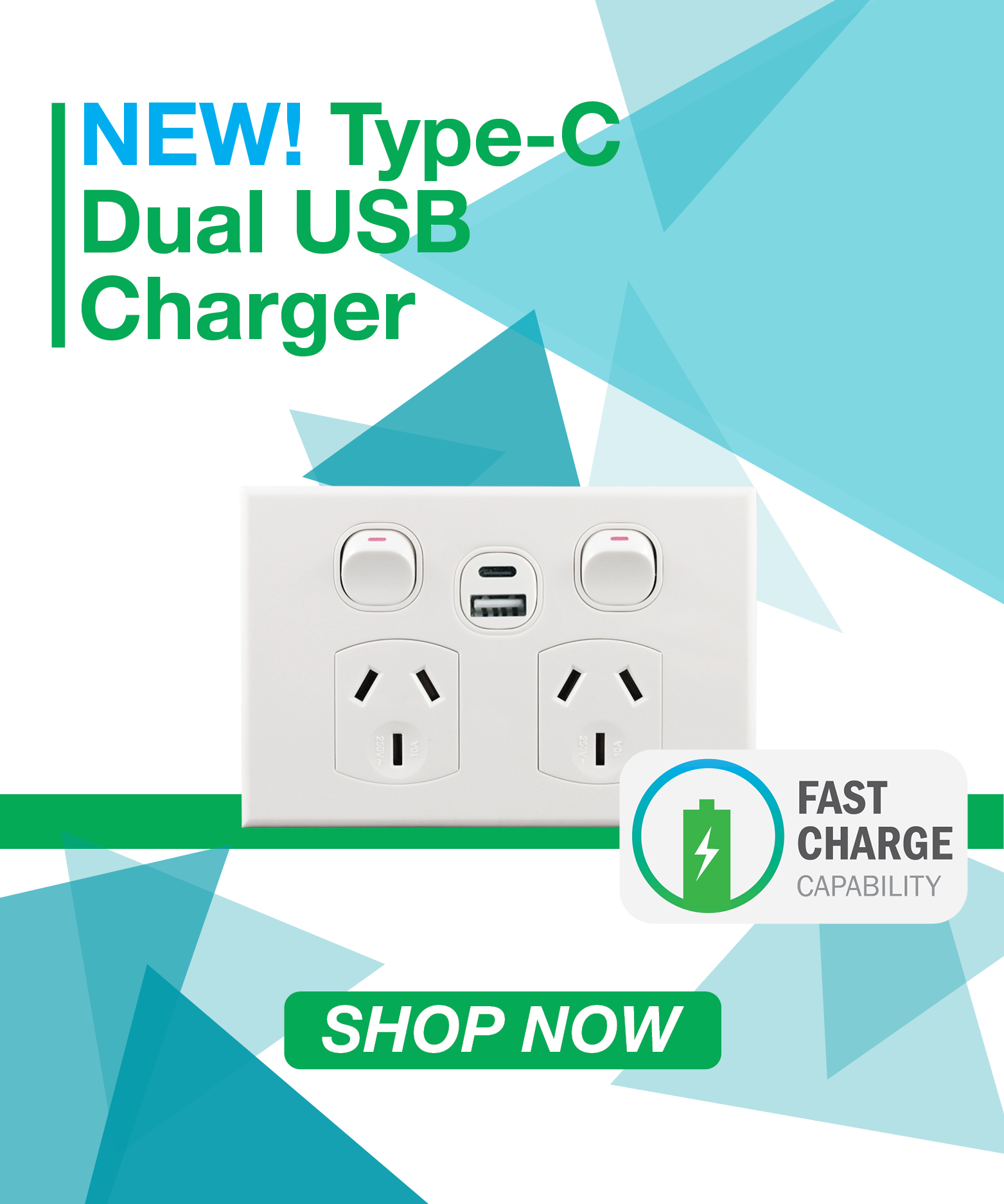 New Type C Dual USB Charger
